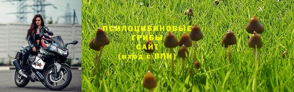 винт Алексеевка