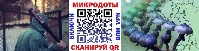 OMG маркетплейс  где можно купить   Арсеньев  Галлюциногенные грибы Psilocybine cubensis 
