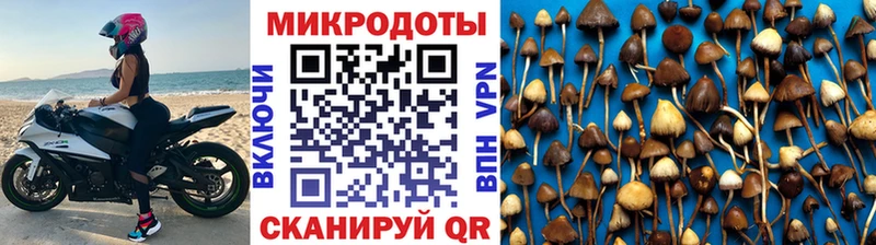 Псилоцибиновые грибы прущие грибы Арсеньев