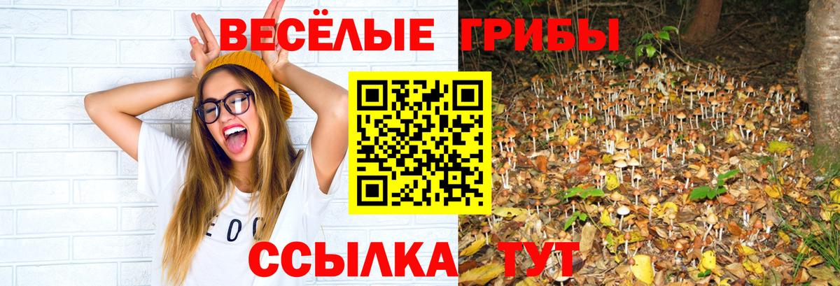 Арсеньев  Псилоцибиновые грибы MAGIC MUSHROOMS  Галлюциногенные грибы мухоморы  Вход с VPN 